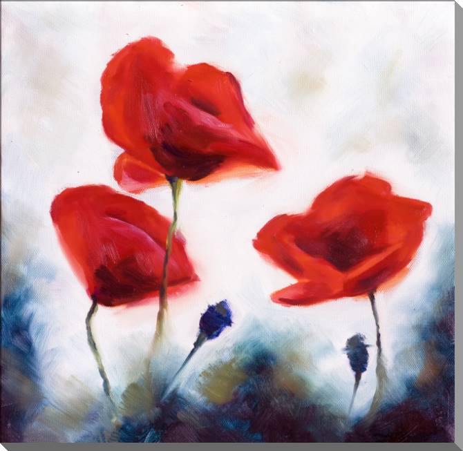 Купить и печать на заказ Картины на пластике, пеноркартоне Три красных мака