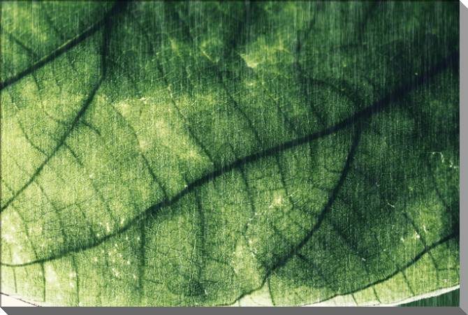 Купить и печать на заказ Картины на пластике, пеноркартоне Лист ретро стиль