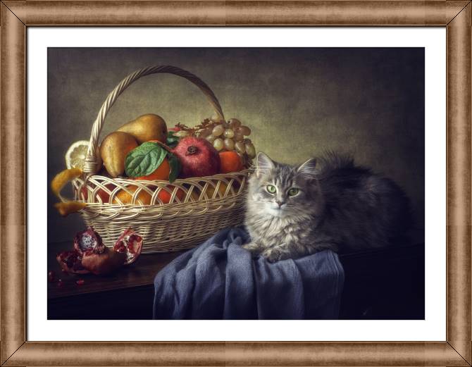 Купить и печать на заказ Картины в рамке, багете Натюрморт с кошкой