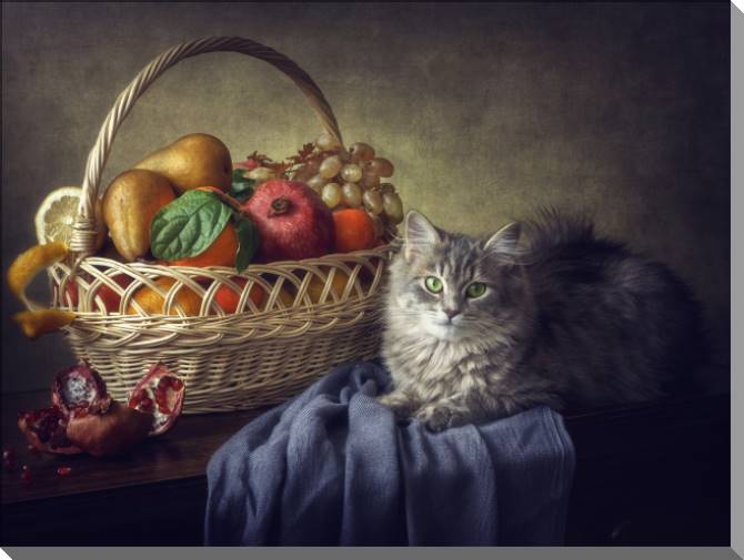 Купить и печать на заказ Картины на пластике, пеноркартоне Натюрморт с кошкой