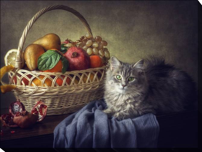 Paintings on canvas Still life with cat