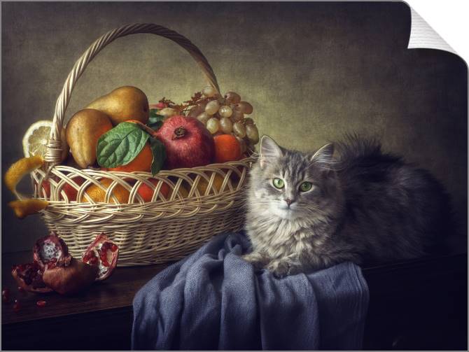 Купить и печать на заказ Картины на холсте Натюрморт с кошкой