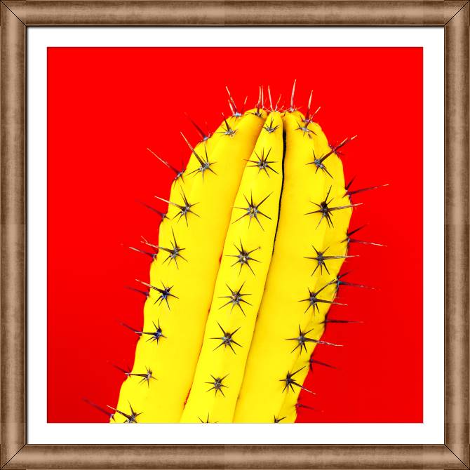 Купить и печать на заказ Картины в рамке, багете Кактус на красном фоне
