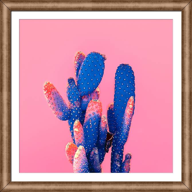 Купить и печать на заказ Картины в рамке, багете Кактус на розовом фоне