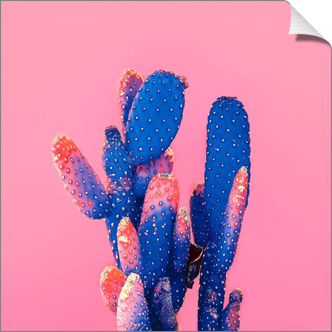 Купить и печать на заказ Картины на холсте Кактус на розовом фоне