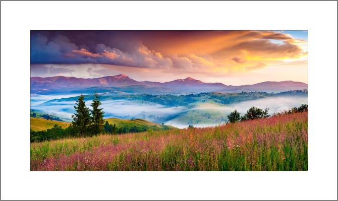 Картины, фото с паспарту Foggy summer sunrise in the Carpathian mountains