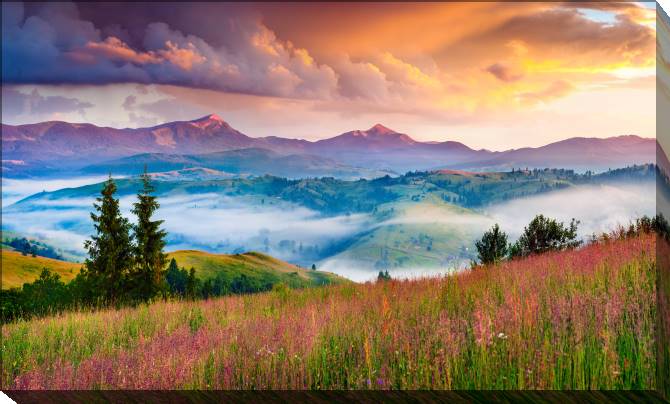 Paintings on canvas Foggy summer sunrise in the Carpathian mountains