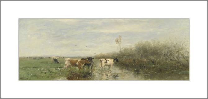 Купить и печать на заказ Картины, фото с паспарту Коровы на заливном лугу 