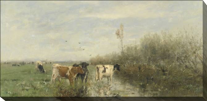 Paintings on canvas Cows in a Soggy Meadow (Willem Maris)