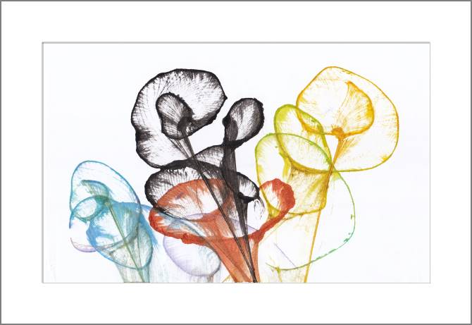 Купить и печать на заказ Картины Абстрактные цветы на белом фоне
