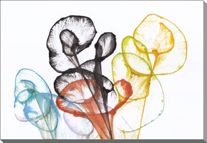 Купить и печать на заказ Картины на пластике, пеноркартоне Абстрактные цветы на белом фоне