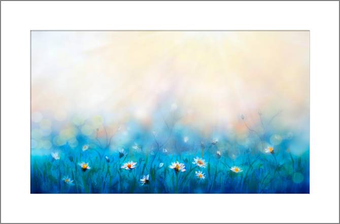 Купить и печать на заказ Картины, фото с паспарту Ромашки на лугу