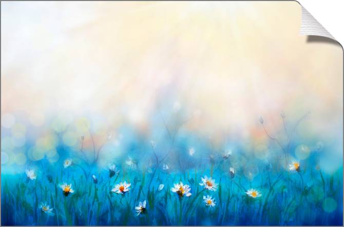 Картины на холсте Daisies in a meadow