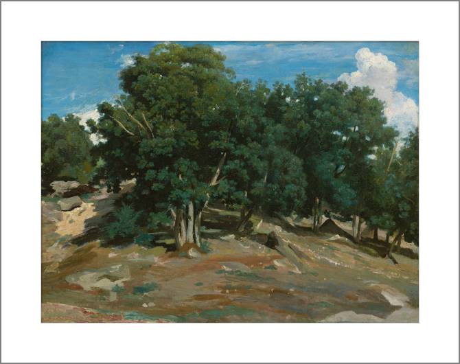 Купить и печать на заказ Картины, фото с паспарту Фонтебло: Дубы на Бас-Бре