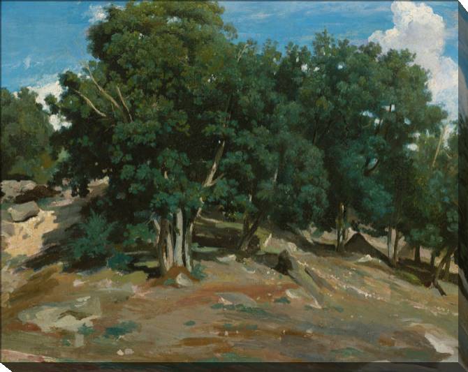 Paintings on canvas Fontainebleau: Oak trees at Bas-bree (Camille Corot)