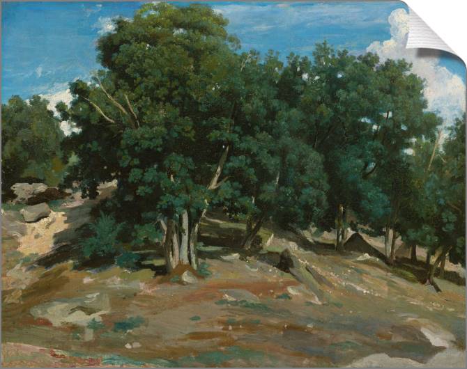 Купить и печать на заказ Картины на холсте Фонтебло: Дубы на Бас-Бре