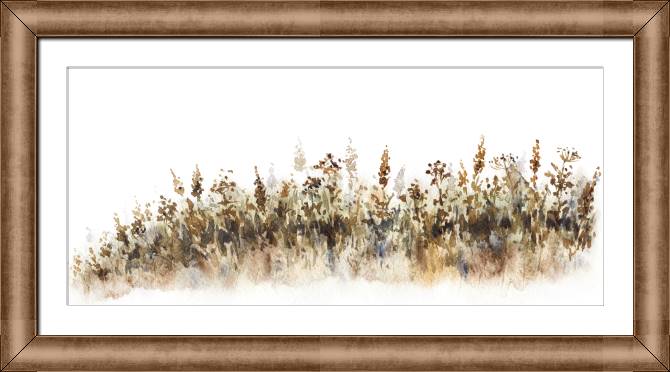 Купить и печать на заказ Картины в рамке, багете Полевые растения акварель