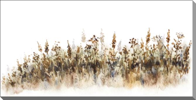 Купить и печать на заказ Картины на пластике, пеноркартоне Полевые растения акварель