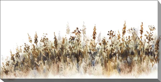 Paintings on canvas Field plants watercolor
