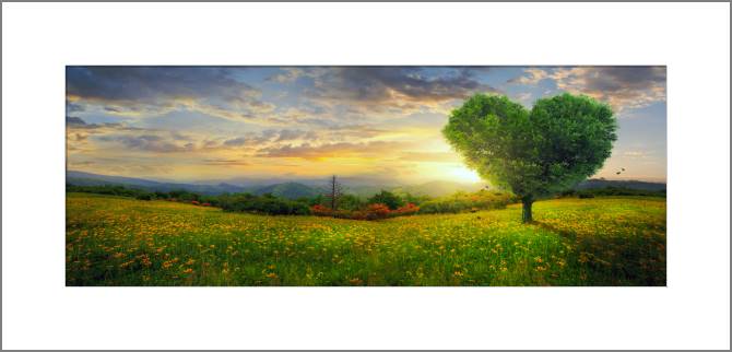 Купить и печать на заказ Картины, фото с паспарту Дерево в форме сердца