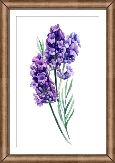 Купить и печать на заказ Картины в рамке, багете Букет лаванды