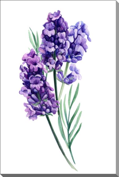 Купить и печать на заказ Картины на пластике, пеноркартоне Букет лаванды