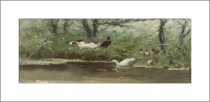 Купить и печать на заказ Картины, фото с паспарту Утки в канаве