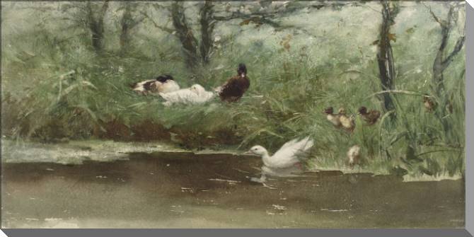 Купить и печать на заказ Картины на пластике, пеноркартоне Утки в канаве