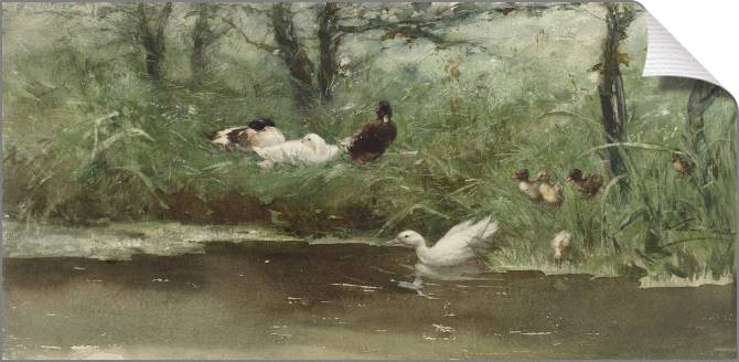 Купить и печать на заказ Картины на холсте Утки в канаве