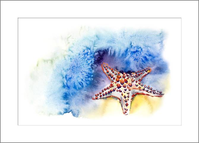 Купить и печать на заказ Картины, фото с паспарту Акварельная иллюстрация морская звезда