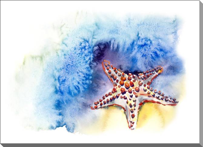 Купить и печать на заказ Картины на пластике, пеноркартоне Акварельная иллюстрация морская звезда
