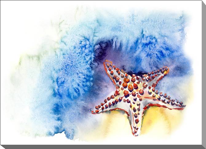 Paintings on canvas Watercolor illustration of a starfish