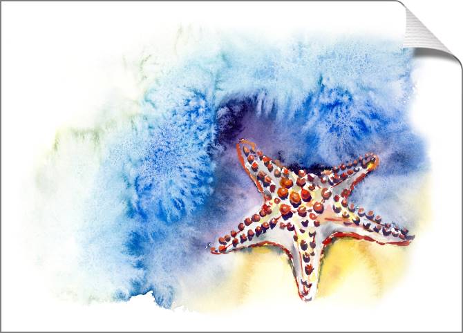 Купить и печать на заказ Картины на холсте Акварельная иллюстрация морская звезда