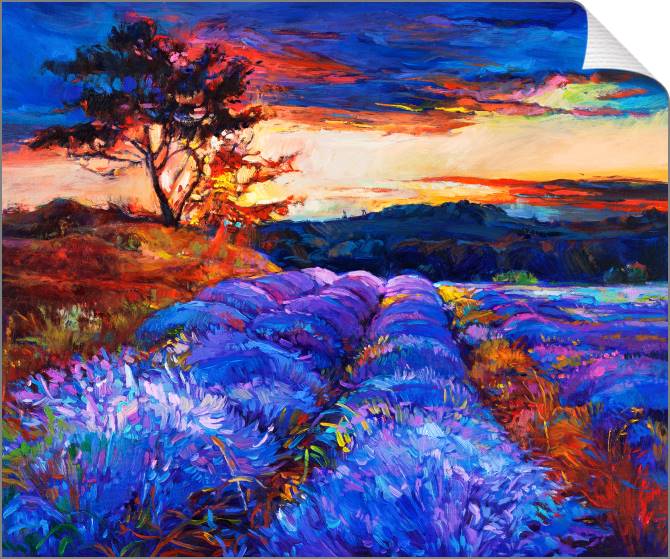 Картины на холсте Field of lavender at sunset