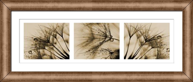 Купить и печать на заказ Картины в рамке, багете Фрагменты одуванчиков