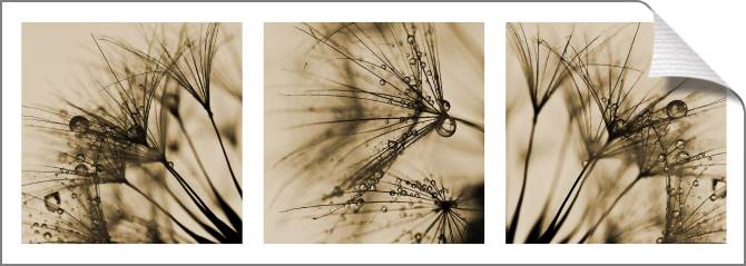 Купить и печать на заказ Картины на холсте Фрагменты одуванчиков