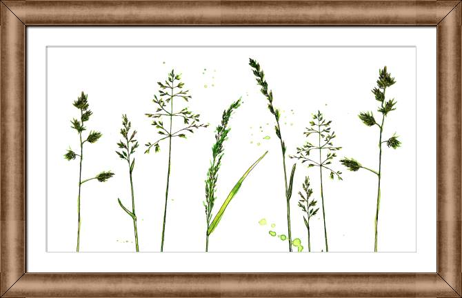 Купить и печать на заказ Картины в рамке, багете Трава на белом фоне