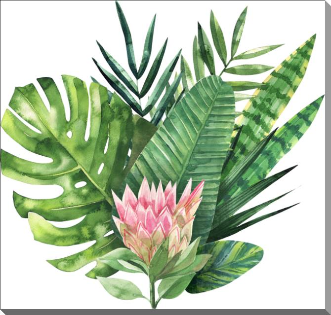 Купить и печать на заказ Картины на пластике, пеноркартоне Композиция из тропических листьев