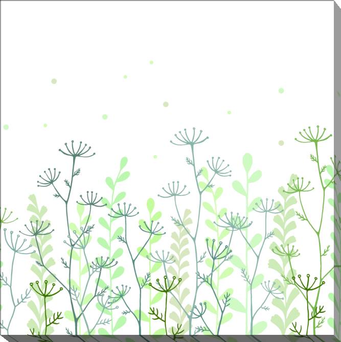 Картины на холсте Hand drawn herbs on white background