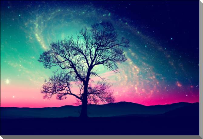 Купить и печать на заказ Картины на пластике, пеноркартоне Дерево на фоне звездного неба