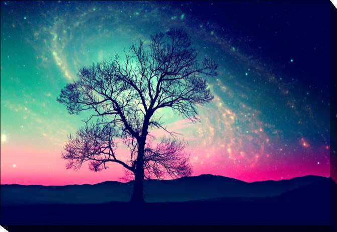 Paintings on canvas The tree on the background of the starry sky