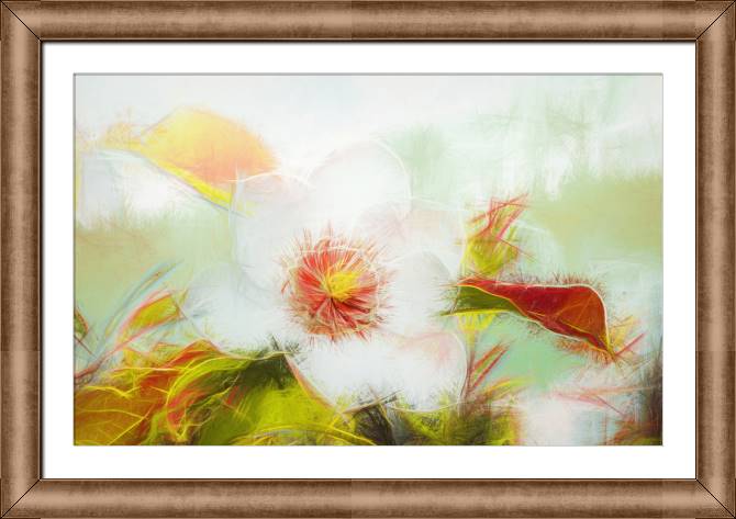 Картины в рамке, багете Flower in the garden pencil effect