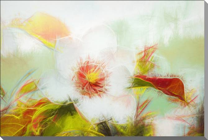 Купить и печать на заказ Картины на пластике, пеноркартоне Цветок в саду эффект карандаша