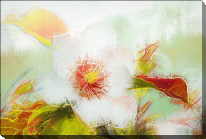 Картины на холсте Flower in the garden pencil effect