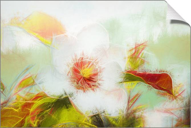 Купить и печать на заказ Картины на холсте Цветок в саду эффект карандаша