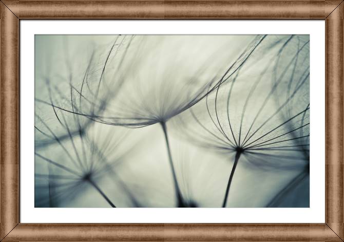 Купить и печать на заказ Картины в рамке, багете Элементы одуванчиков крупным планом