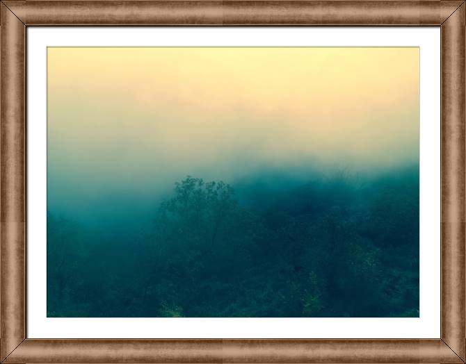 Купить и печать на заказ Картины в рамке, багете Лес в тумане