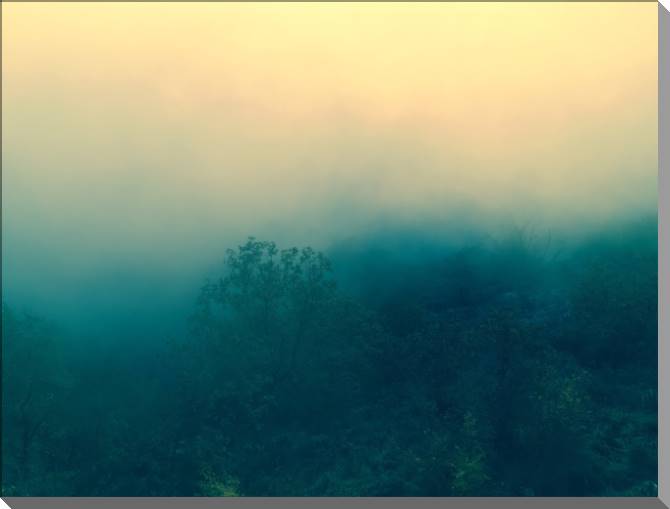 Купить и печать на заказ Картины на пластике, пеноркартоне Лес в тумане