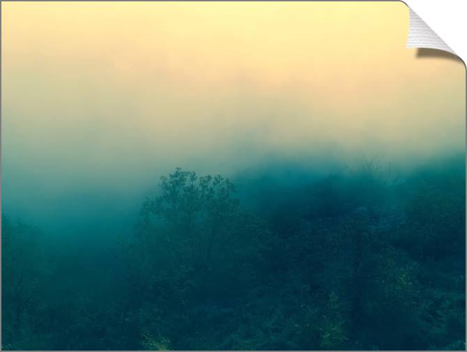 Купить и печать на заказ Картины на холсте Лес в тумане