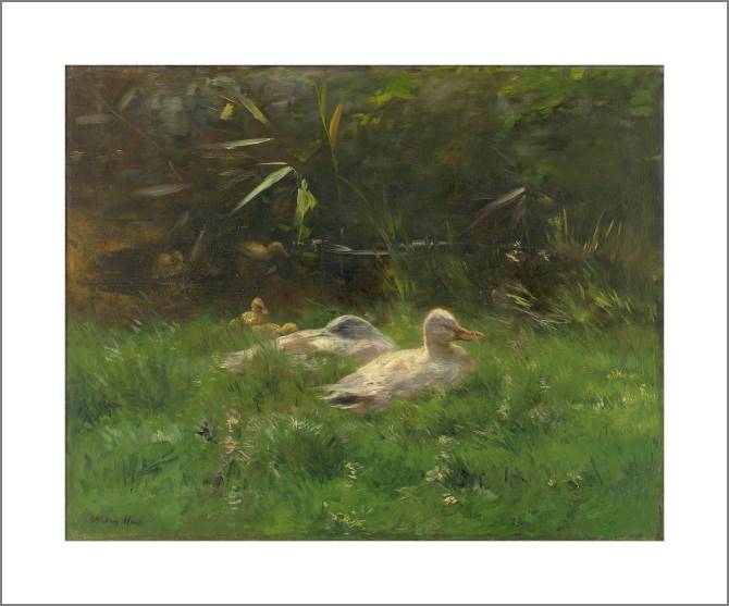 Paintings, photos from Passepartout Ducks (Willem Maris)